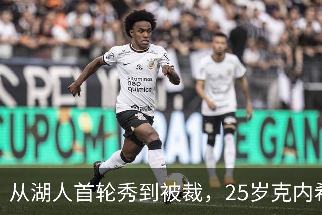从湖人首轮秀到被裁，25岁克内希特转投尼克斯